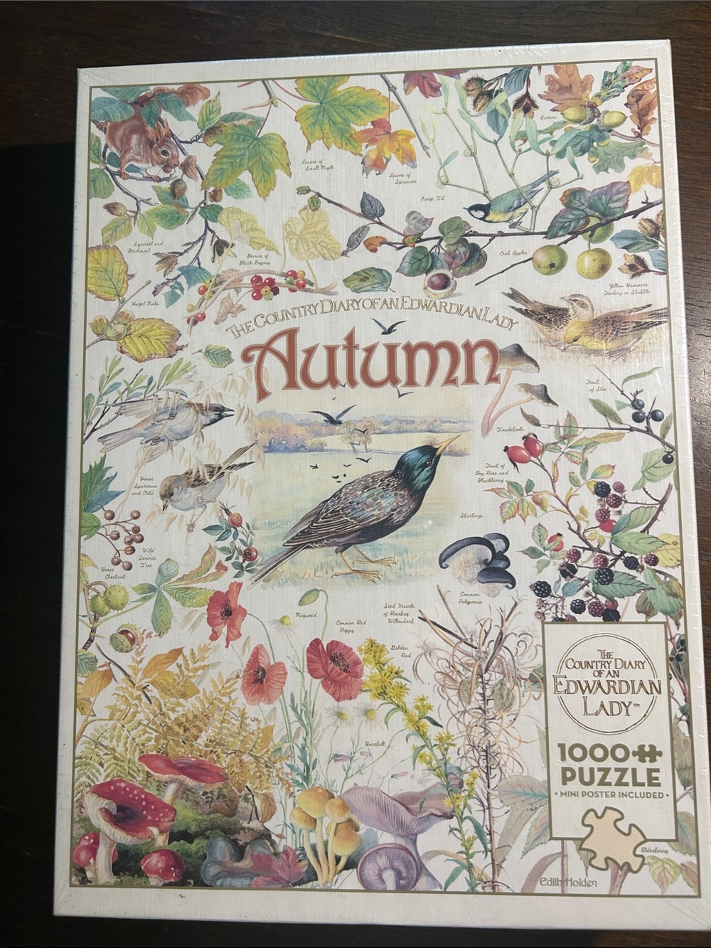 Cobble Hill Autumn 1000-Piece Jigsaw Puzzle - NEW. UNOPENED
